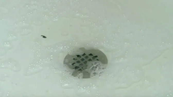 Got a clogged shower drain? This natural solution will unclog it for you in a jiffy!
