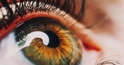 Wissenschaftler könnten kurz davor stehen, ein Heilmittel für Blindheit zu finden