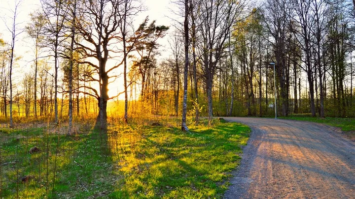 Zet de zonnebril maar op: komend weekend volop zon