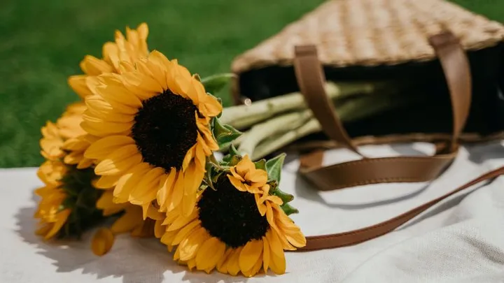 Tips om je zonnebloemen zo lang mogelijk mooi te houden