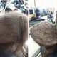 Kapper doet schokkende ontdekking nadat meisje weigert haar haar te kammen