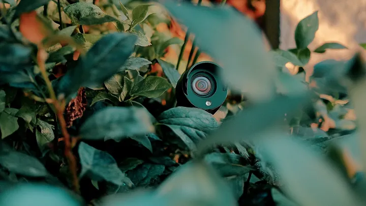 After A Strange Visit, A Grieving Mother Sets Up A Camera At Her Son’s Grave