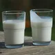 This is why you're better off eating full-fat dairy products instead of low-fat ones!