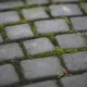 Dzięki tym sztuczkom można łatwo pozbyć się mchu