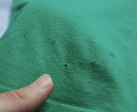 Ecco perché le tue magliette hanno sempre questi piccoli fori sul fondo!