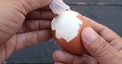 Dit is waarom verse eieren moeilijker te pellen zijn na het koken