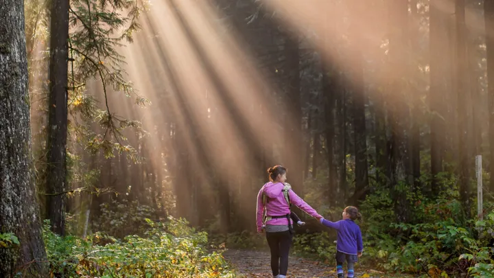 This is why you should go for a walk after every meal