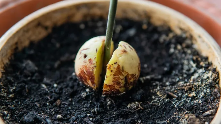 Notre top 14 des astuces géniales pour le jardin qui vous permettront d’économiser beaucoup d’argent et de temps