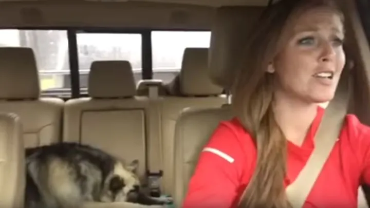 Dieses Video geht viral: endlich bist du im Auto eingeschlafen, da hörst du plötzlich dein Lieblingslied im Radio!