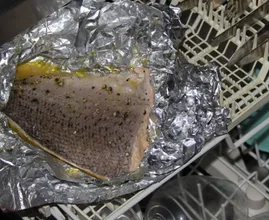She put uncooked salmon in her dishwasher, the result will blow you away