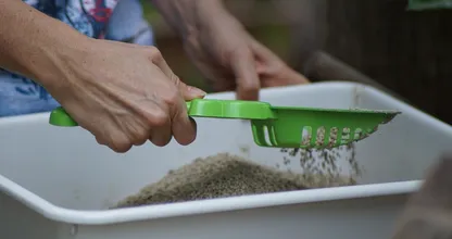 Mit diesem einfachen Trick musst du nie wieder das Katzenklo saubermachen!