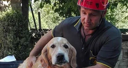 VIDEO: Deze hond heeft echt een engeltje op zijn schouder zitten! Wat geweldig, dit filmpje moet je zien!