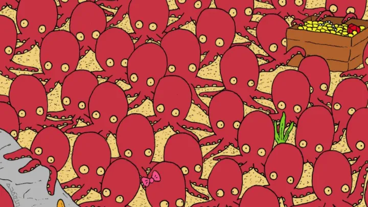 Can you spot the fish in between all of these squids?