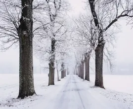 Geen 1 aprilgrap: deze week nog kans op sneeuw