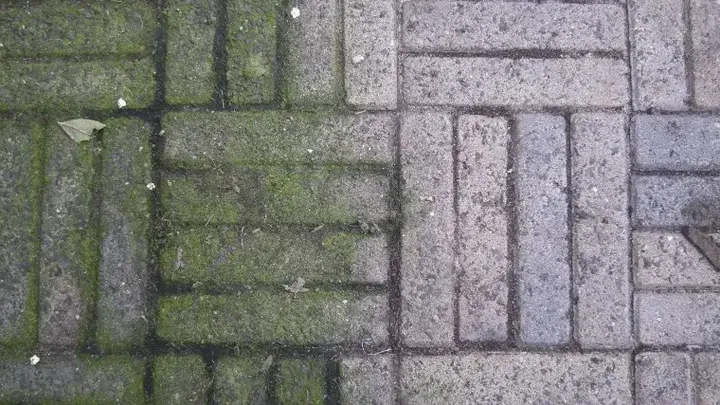 잡초가 자라는 것을 방지하고 싶으신가요? 이 트릭을 사용하면 오래 걸리지 않습니다! 매우 실용적입니다!