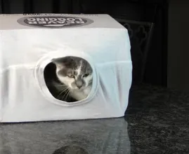 Don't throw away cardboard boxes; use them for these handy purposes