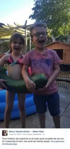 courgette4