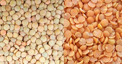 Lentils come in yellow, green and red and THIS is the difference between them!