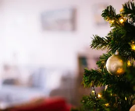 Altijd verkouden in december? Misschien heb je een kerstboomallergie