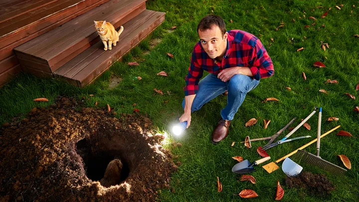 Maulwurf gräbt immer wieder den Garten eines Mannes um - aber der wahre Grund lässt ihn zu Hilfe eilen