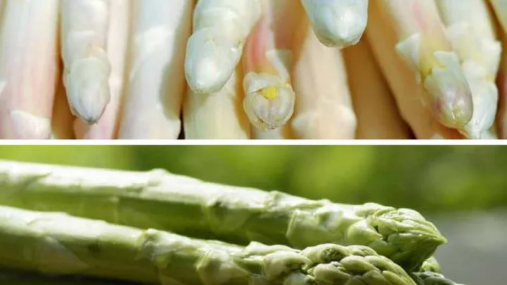 Grüner vs. weißer Spargel: diese 5 Unterschiede kennen nur die wenigsten