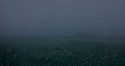 Dichte mist zorgt voor zware ochtendspits in het hele land