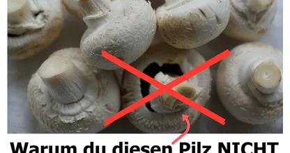 Du kaufst Pilze die SO aussehen? Das solltest du besser NICHT tun!
