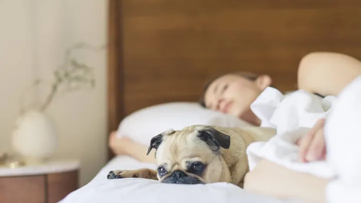 Dit is hoeveel slaap we nodig hebben per leeftijd, van baby tot oudere