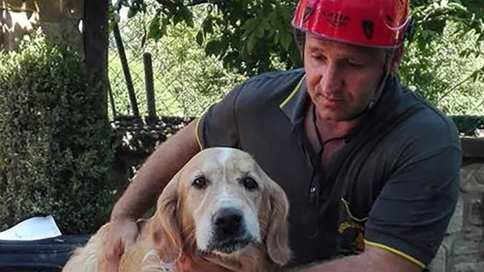 VIDEO: Deze hond heeft echt een engeltje op zijn schouder zitten! Wat geweldig, dit filmpje moet je zien!