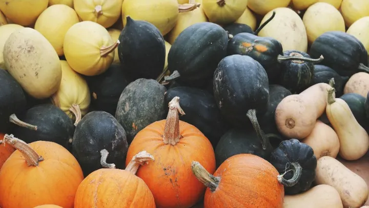 Pourquoi vous devriez manger des citrouilles tous les jours !