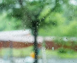 Op vakantie in eigen land? Bereid je voor op een flinke bak regen
