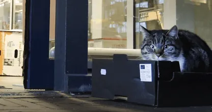 Like allemaal mee voor Lulu! Ze mag niet meer naar binnen!
