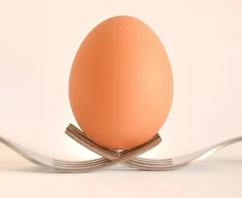 Waarom het internet in de ban is van deze foto van een ei