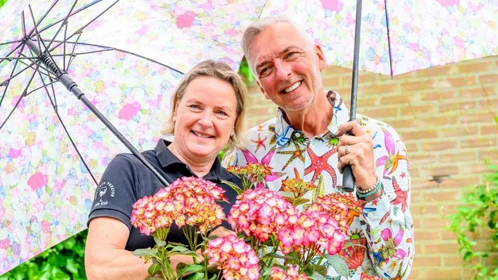 Meilandjes verlagen verkoopprijs van pension Code Rosé