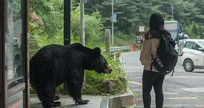 バス停で突然クマが近づいてきたので、森の中に入っていった女性。