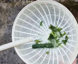 Ist dein Gartenschlauch mit Algen verstopft? Ein Schwamm spült alles sofort durch!