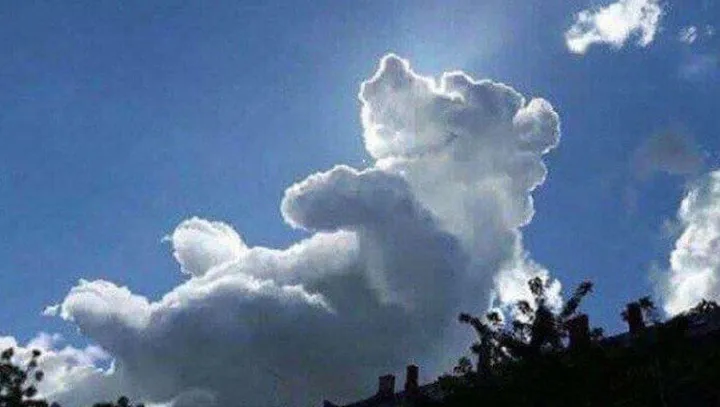 wolk
