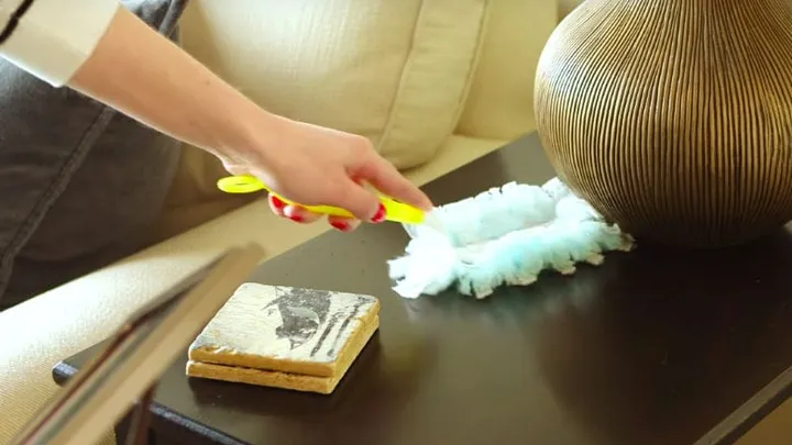 5 handy tips for a dust free home