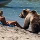 Woman Follows Bear into the Sea After It Approaches Her on the Beach
