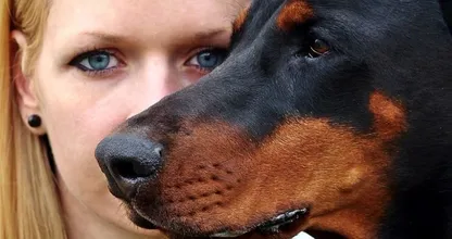 Dein Sternzeichen verrät dir, welches Haustier am besten zu dir passt