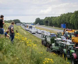 Natuurorganisaties na stikstofoverleg: 'Eerder versnellen dan vertragen'