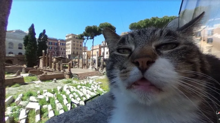 Voici les 12 photos les plus bizarres de Google Street View