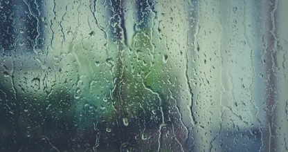 Het blijft de hele week nat en stormachtig: nu al veel stormschade