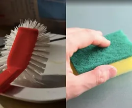 Dish brush vs. sponge: what's the better option? We've got the answer!