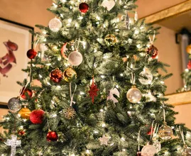 Zo kies je de beste kerstboom uit