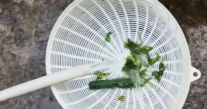 Ist dein Gartenschlauch mit Algen verstopft? Ein Schwamm spült alles sofort durch!