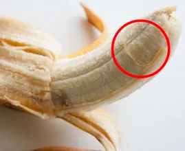 Ces petits fils ennuyeux sur les bananes… Ils ont un nom ET un but !