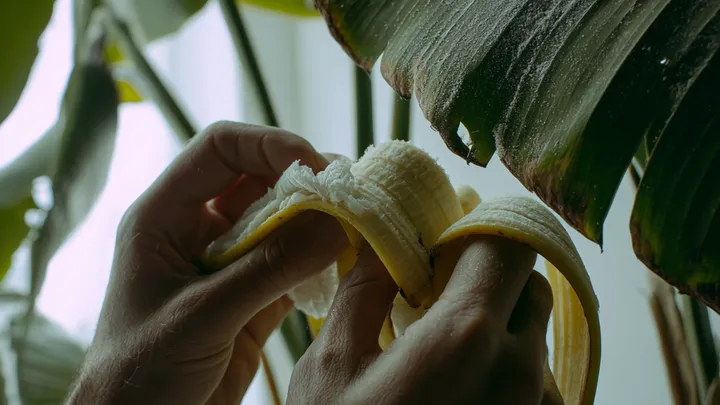10 modi sorprendenti di usare le bucce di banana che non conoscevi