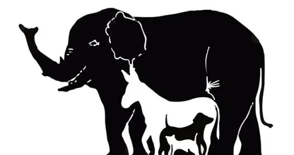 Wie viele Tiere entdeckst du? Kaum jemand kommt auf die richtige Anzahl.