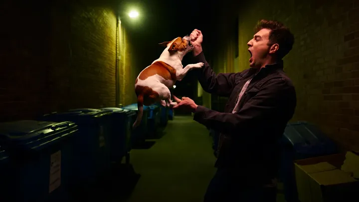 Homeless Man and His Dog Hear a Scream—What Happens Next Changes His Life Forever!
